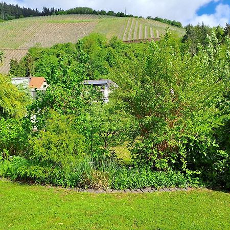 Ferienwohnung Heiming Saarburg Εξωτερικό φωτογραφία